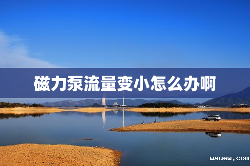 磁力泵流量变小怎么办啊 磁力泵流量变小怎么办啊