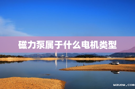 磁力泵属于什么电机类型 磁力泵属于什么电机类型