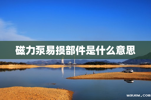 磁力泵易损部件是什么意思 磁力泵易损部件是什么意思