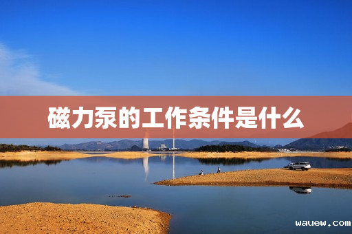 磁力泵的工作条件是什么 磁力泵的工作条件是什么