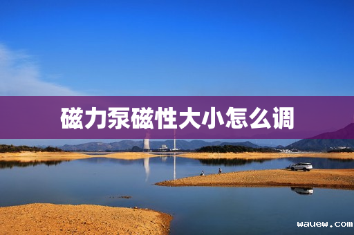 磁力泵磁性大小怎么调 磁力泵磁性大小怎么调