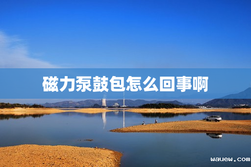 磁力泵鼓包怎么回事啊 磁力泵鼓包怎么回事啊