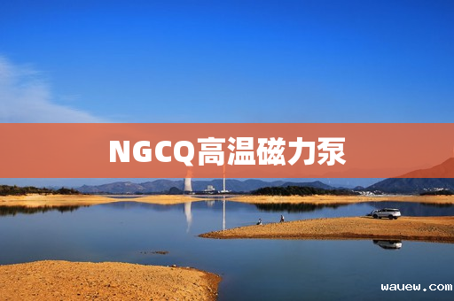 NGCQ高温磁力泵 NGCQ高温磁力泵