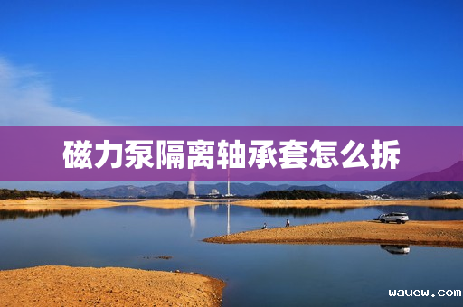 磁力泵隔离轴承套怎么拆 磁力泵隔离轴承套怎么拆