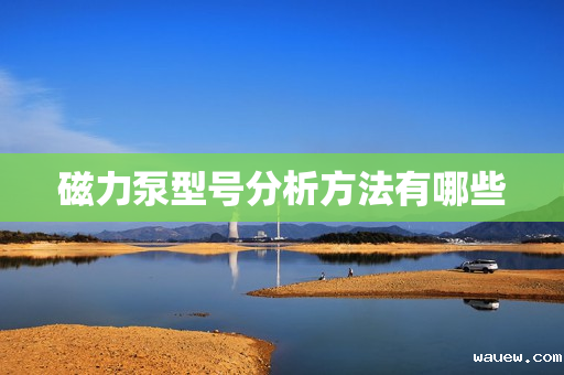 磁力泵型号分析方法有哪些 磁力泵型号分析方法有哪些