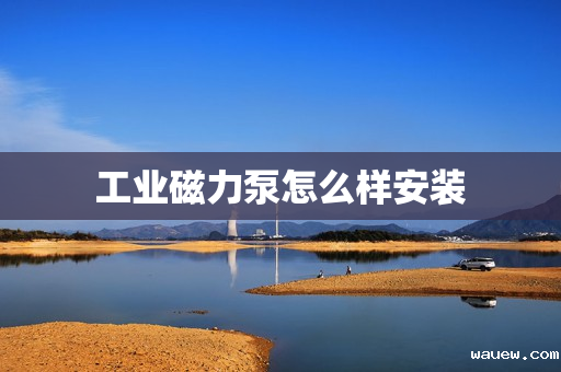 工业磁力泵怎么样安装 工业磁力泵怎么样安装