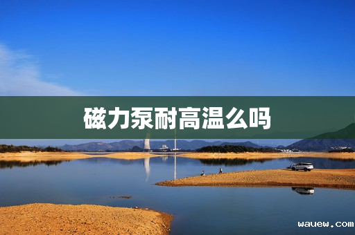 磁力泵耐高温么吗 磁力泵耐高温么吗