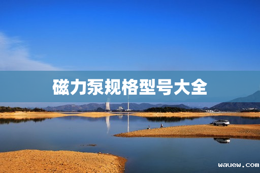 磁力泵规格型号大全 磁力泵规格型号大全