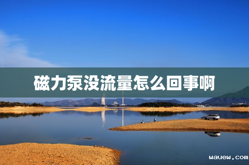 磁力泵没流量怎么回事啊 磁力泵没流量怎么回事啊