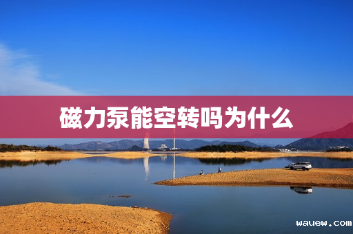 磁力泵能空转吗为什么 磁力泵能空转吗为什么