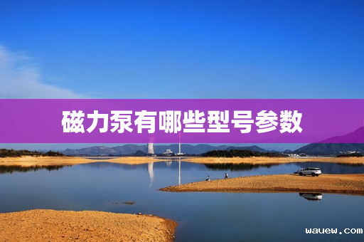 磁力泵有哪些型号参数 磁力泵有哪些型号参数