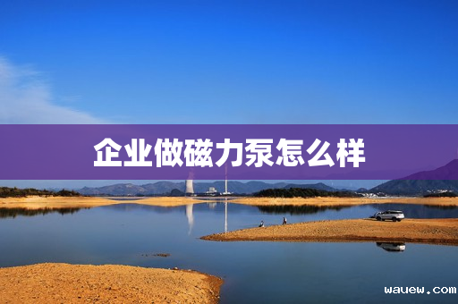 企业做磁力泵怎么样 企业做磁力泵怎么样