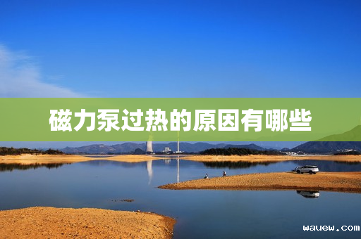 磁力泵过热的原因有哪些 磁力泵过热的原因有哪些