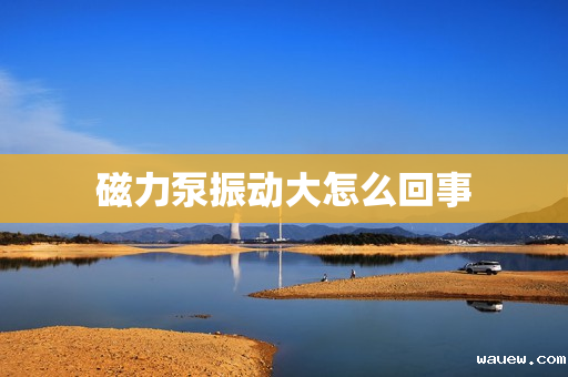 磁力泵振动大怎么回事 磁力泵振动大怎么回事