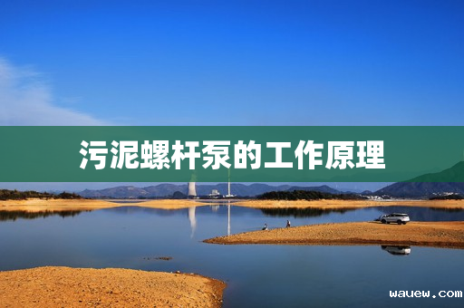 污泥螺杆泵的工作原理 污泥螺杆泵的工作原理