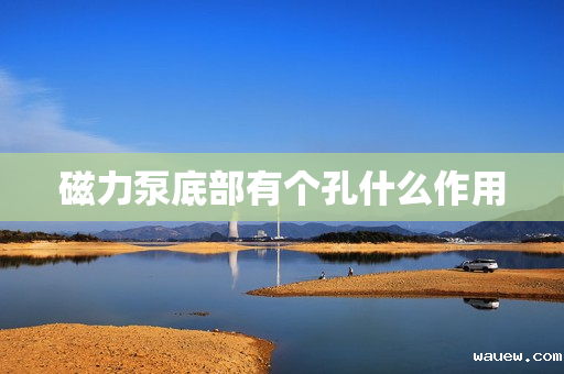 磁力泵底部有个孔什么作用 磁力泵底部有个孔什么作用