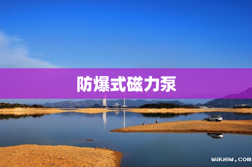 防爆式磁力泵 防爆式磁力泵