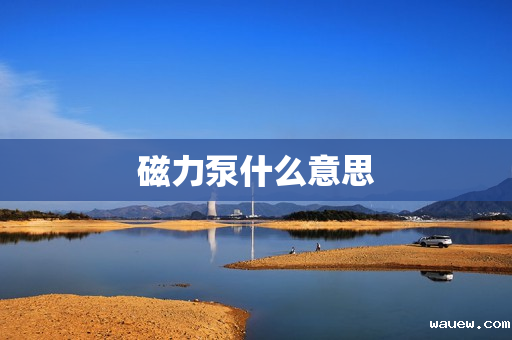 磁力泵什么意思 磁力泵什么意思