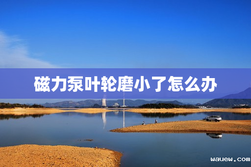 磁力泵叶轮磨小了怎么办 磁力泵叶轮磨小了怎么办