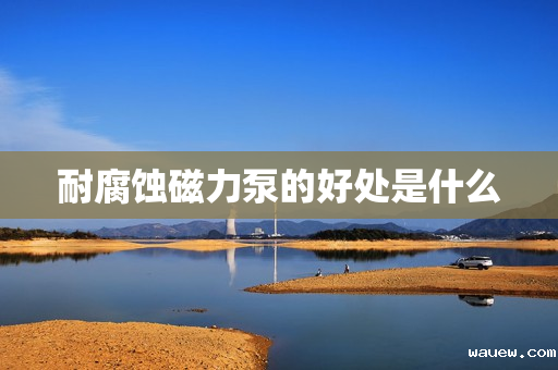 耐腐蚀磁力泵的好处是什么 耐腐蚀磁力泵的好处是什么