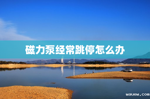 磁力泵经常跳停怎么办 磁力泵经常跳停怎么办