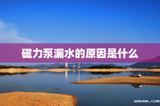 磁力泵漏水的原因是什么 磁力泵漏水的原因是什么