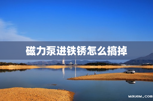 磁力泵进铁锈怎么搞掉 磁力泵进铁锈怎么搞掉