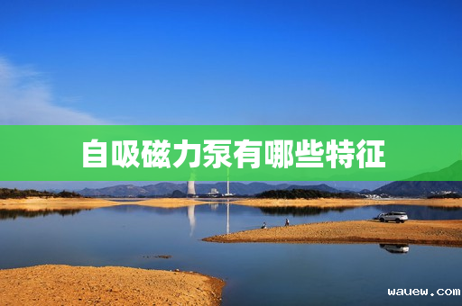 自吸磁力泵有哪些特征 自吸磁力泵有哪些特征