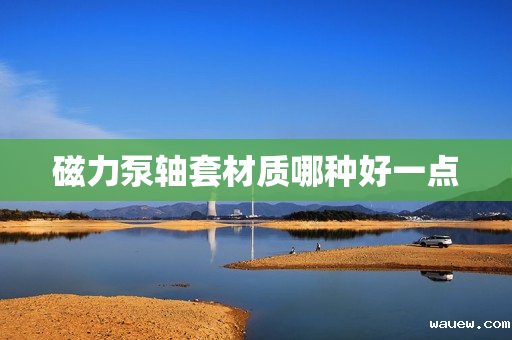 磁力泵轴套材质哪种好一点 磁力泵轴套材质哪种好一点