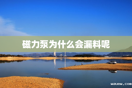 磁力泵为什么会漏料呢 磁力泵为什么会漏料呢