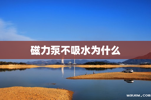 磁力泵不吸水为什么 磁力泵不吸水为什么