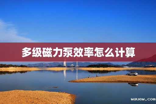 多级磁力泵效率怎么计算 多级磁力泵效率怎么计算