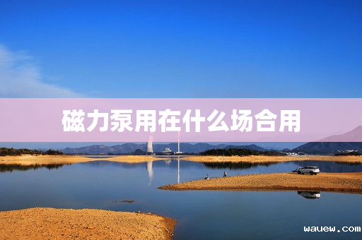 磁力泵用在什么场合用 磁力泵用在什么场合用