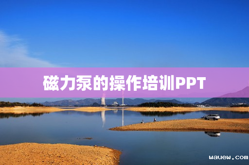 磁力泵的操作培训PPT 磁力泵的操作培训PPT