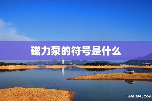 磁力泵的符号是什么 磁力泵的符号是什么