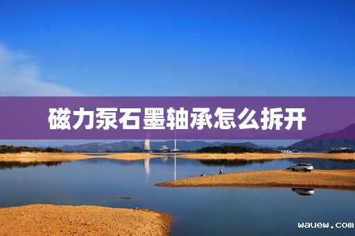 磁力泵石墨轴承怎么拆开 磁力泵石墨轴承怎么拆开