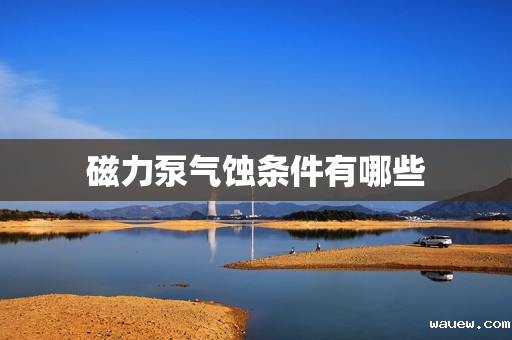 磁力泵气蚀条件有哪些 磁力泵气蚀条件有哪些