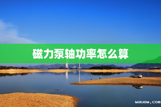 磁力泵轴功率怎么算 磁力泵轴功率怎么算