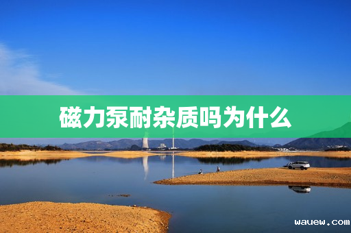 磁力泵耐杂质吗为什么 磁力泵耐杂质吗为什么