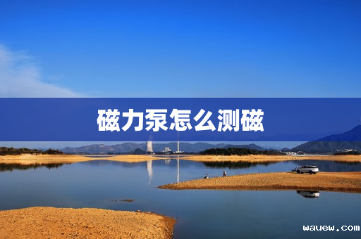 磁力泵怎么测磁 磁力泵怎么测磁