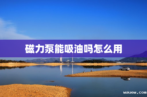 磁力泵能吸油吗怎么用 磁力泵能吸油吗怎么用