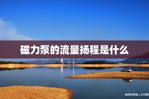 磁力泵的流量扬程是什么 磁力泵的流量扬程是什么