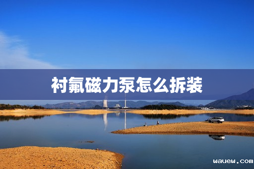 衬氟磁力泵怎么拆装 衬氟磁力泵怎么拆装