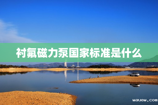 衬氟磁力泵国家标准是什么 衬氟磁力泵国家标准是什么