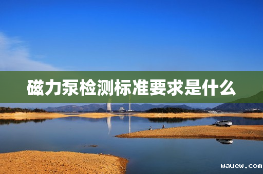 磁力泵检测标准要求是什么 磁力泵检测标准要求是什么