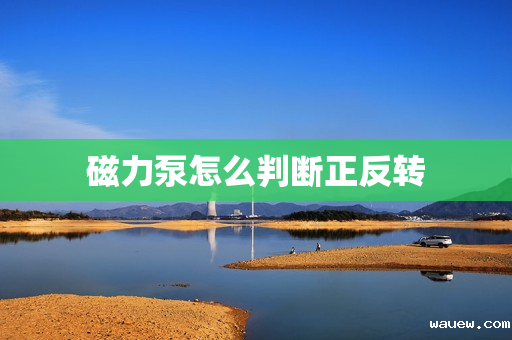 磁力泵怎么判断正反转 磁力泵怎么判断正反转