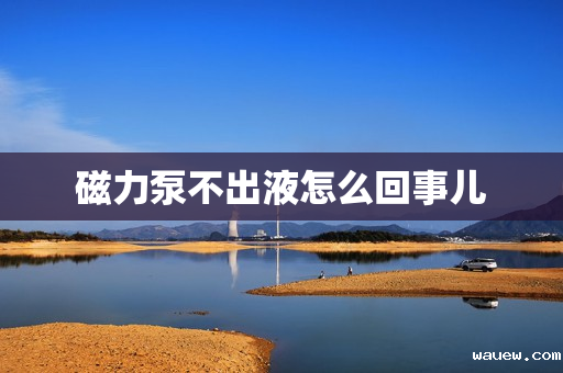 磁力泵不出液怎么回事儿 磁力泵不出液怎么回事儿