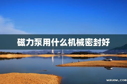 磁力泵用什么机械密封好 磁力泵用什么机械密封好