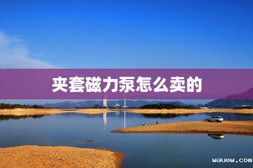 夹套磁力泵怎么卖的 夹套磁力泵怎么卖的