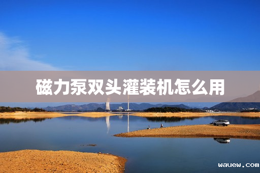 磁力泵双头灌装机怎么用 磁力泵双头灌装机怎么用